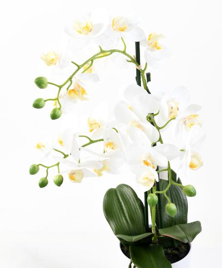 Kunstig Phalaenopsis Orkidé Med Hvid Potte 60Cm