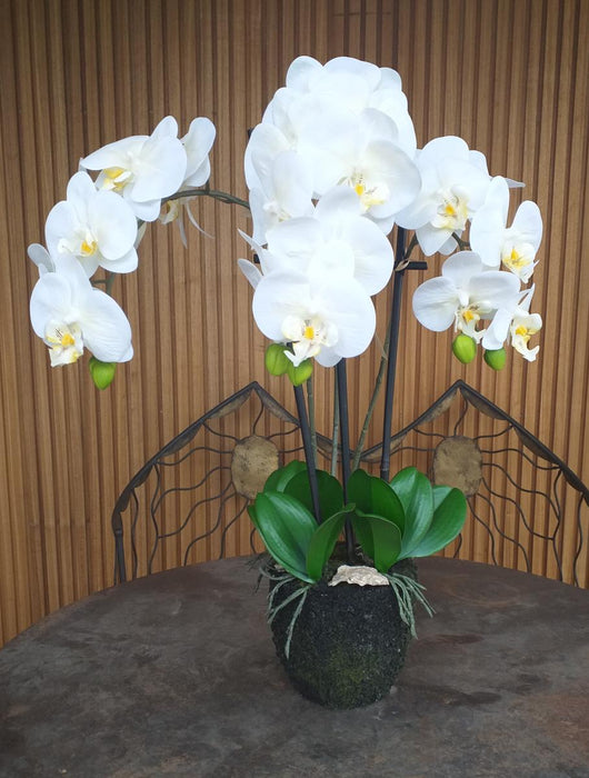 Kunstig Phalaenopsis Orchid H.55 Cm Creme