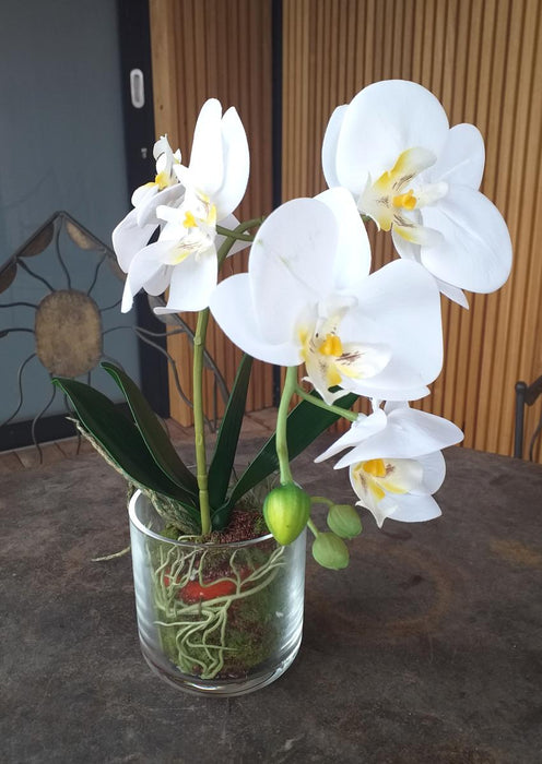 Kunstig Phalaenopsis Orchid Glas Pot 42Cm Creme