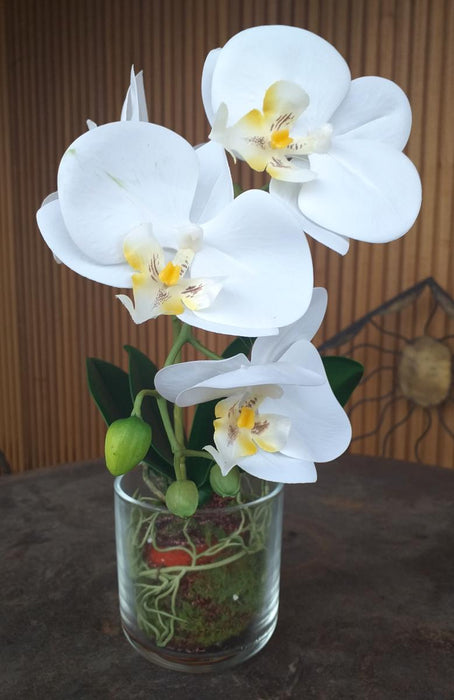 Kunstig Phalaenopsis Orchid Glas Pot 42Cm Creme
