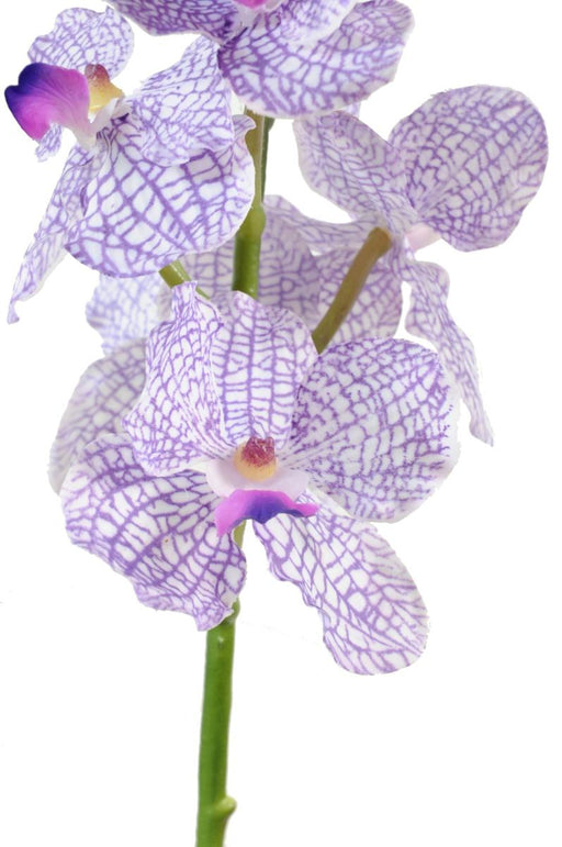 Kunstig Vanda Orchid 60Cm Lilla Hvid