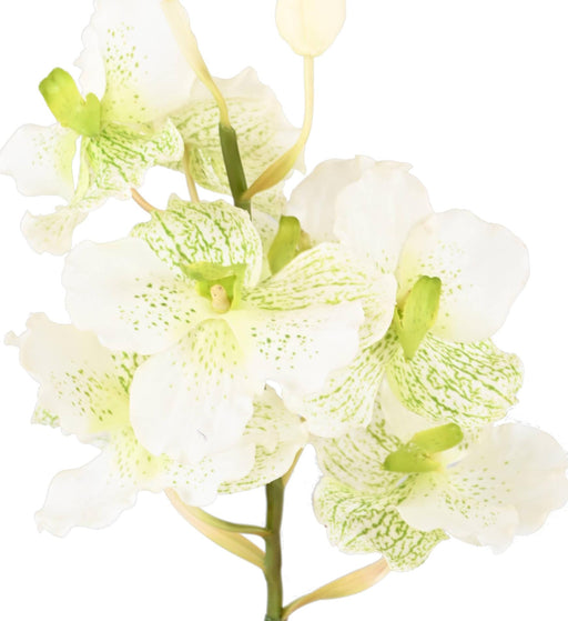 Kunstig Vanda Orchid 70Cm Hvid Dekorativ