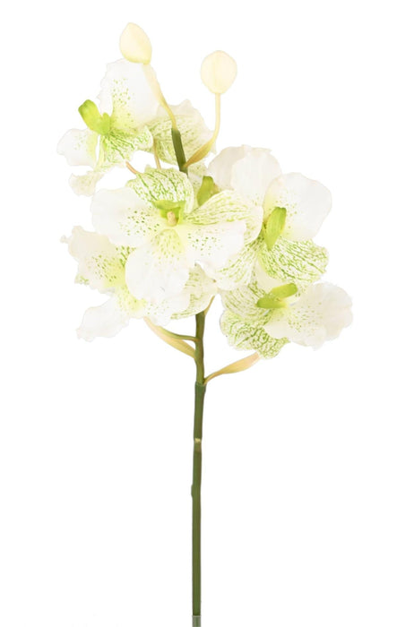Kunstig Vanda Orchid 70Cm Hvid Dekorativ