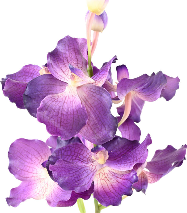 Kunstig Vanda Orchid Lilla 70 Cm Dekoration
