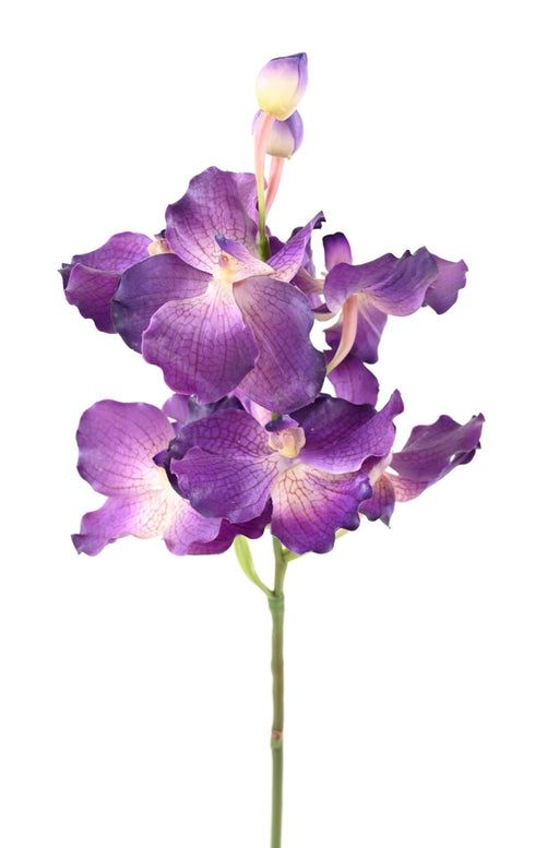Kunstig Vanda Orchid Lilla 70 Cm Dekoration