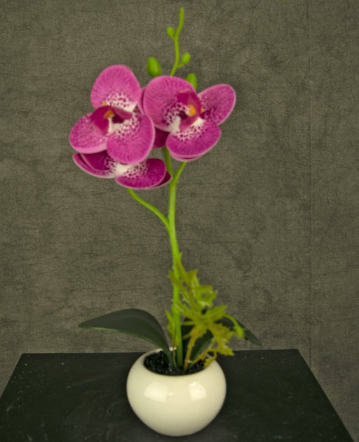 Kunstig Fuchsia Orkidé I Potte
