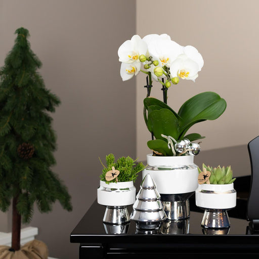 Hvid Keramisk Juletræspynt