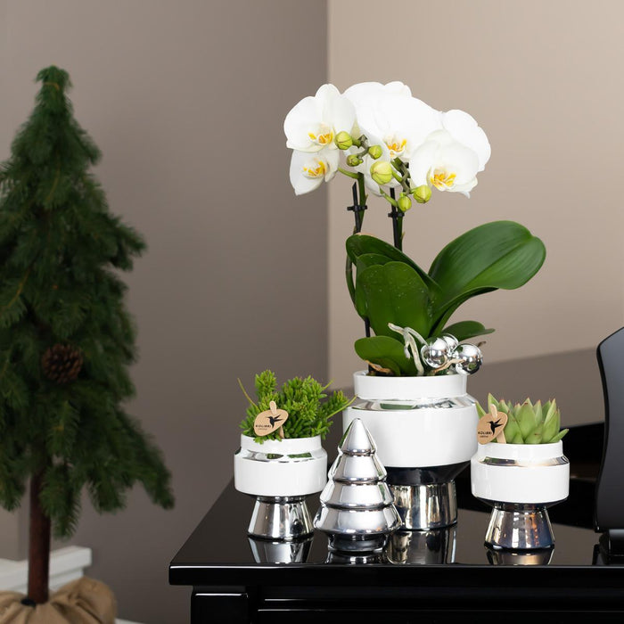 Hvid Keramisk Juletræspynt