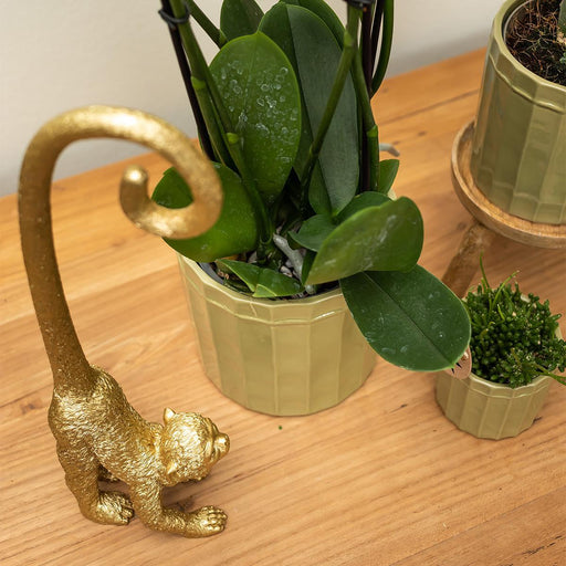 Long Tail Monkey Ornament - Guld