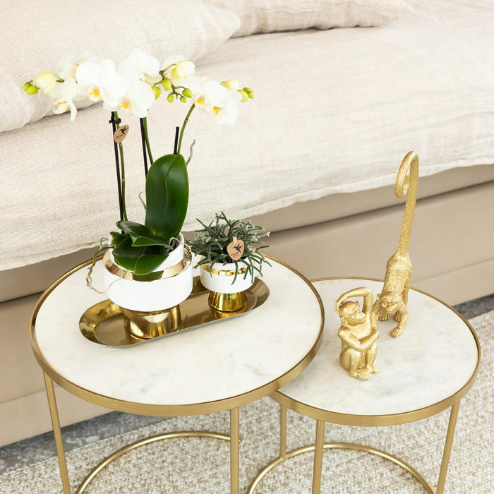 Long Tail Monkey Ornament - Guld
