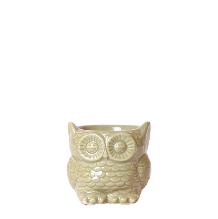 Owl Bloempot Green - Keramisk Dekorativ Potte