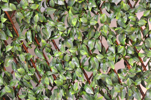 Udvidelig Uv-Løvpalisade Til Terrasse