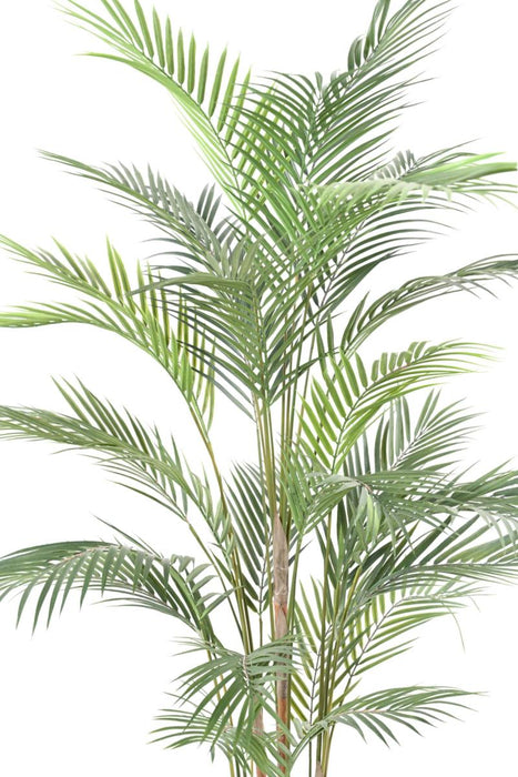 Areca Plast Palme 150Cm Til Indvendig Og Udvendig