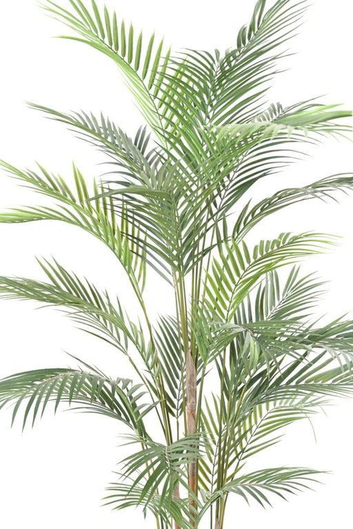 Areca Plast Palme 150Cm Til Indvendig Og Udvendig