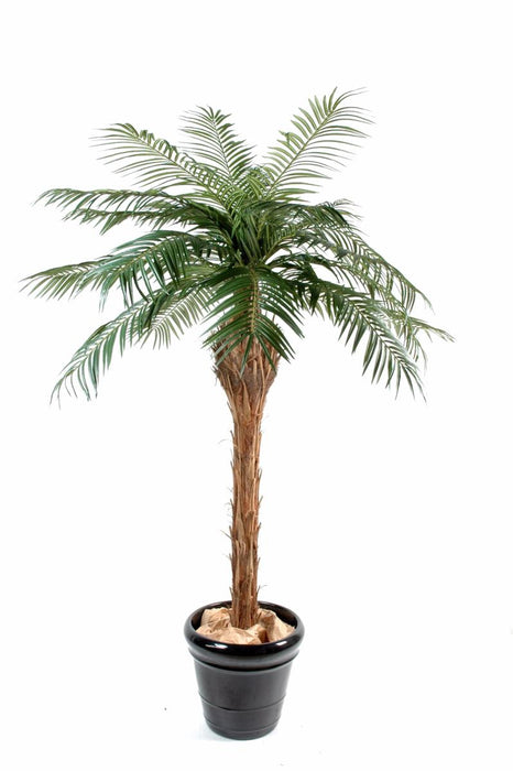 Kunstig Phoenix Palme 150 Cm Til Indendørs