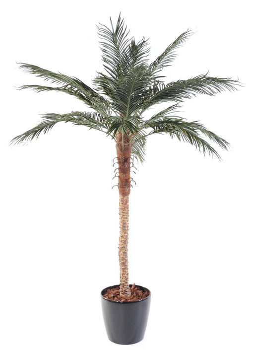 Kunstig Palme Phoenix 210 Cm Til Indendørs