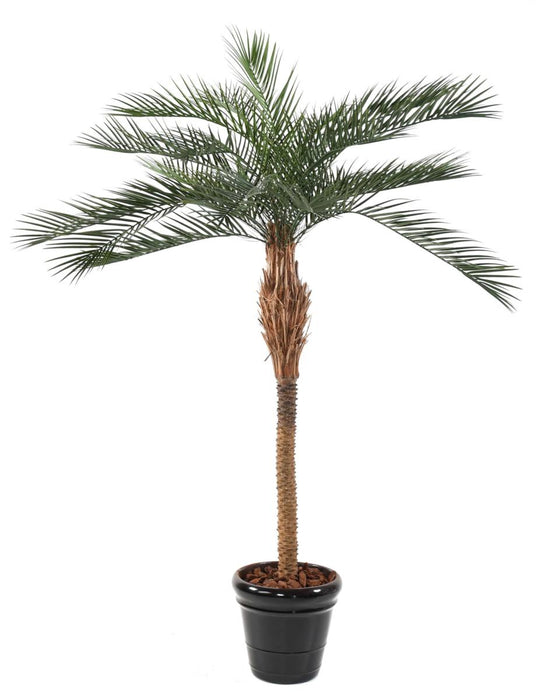 Kunstig Phoenix Palme 220Cm Til Udendørs