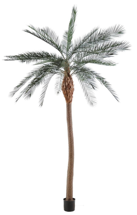 Kunstig Phoenix Palme 280 Cm Til Udendørs