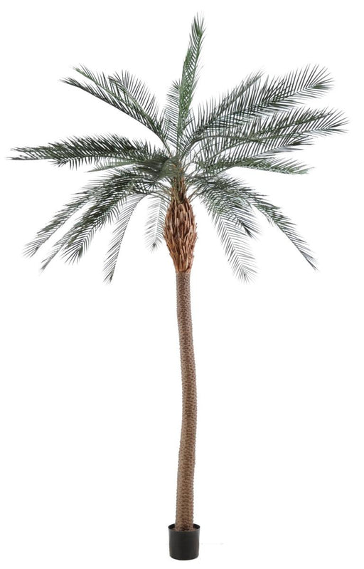 Kunstig Phoenix Palme 280 Cm Til Udendørs