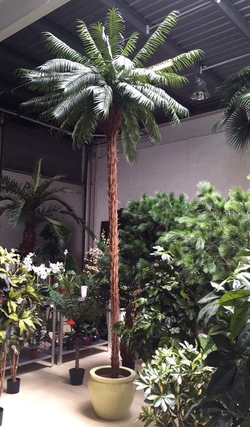 Kunstig Phoenix Palme 450Cm Til Indendørs