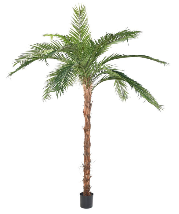 Kunstig Palme Phoenix Canariensis H.370Cm Plante