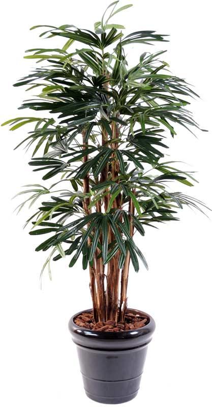 Kunstig Palme Raphis Lady 150 Cm 7 Stokke