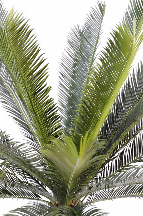 Kunstig Cycas Palme 100 Cm Til Indendørs Udendørs
