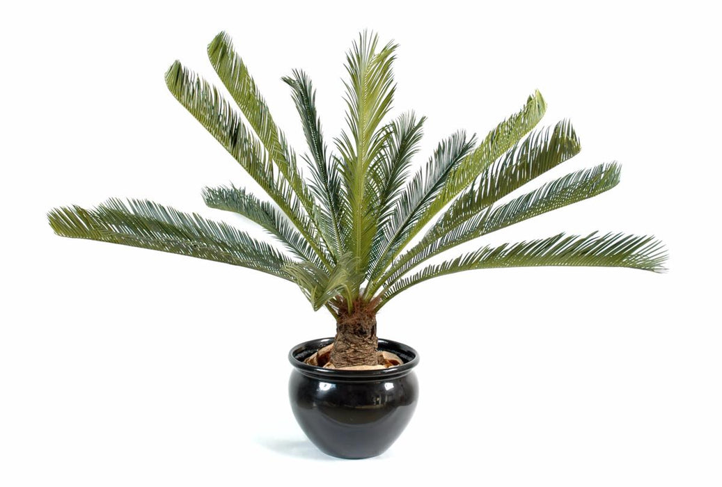 Kunstig Cycas Palm 100 Cm Til Indendørs