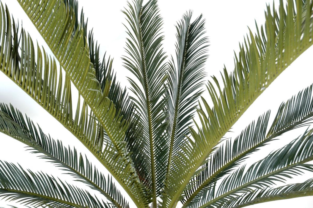 Kunstig Cycas Palme 200 Cm Indendørs Plante
