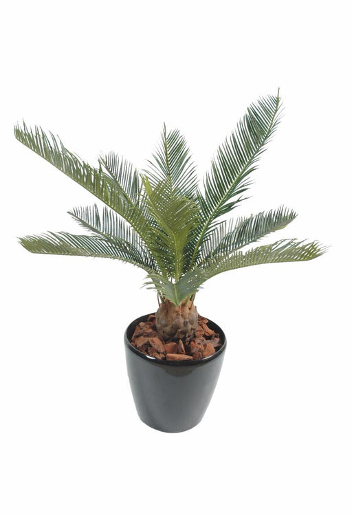 Kunstig Cycas Palm 65Cm Indendørs Udendørs