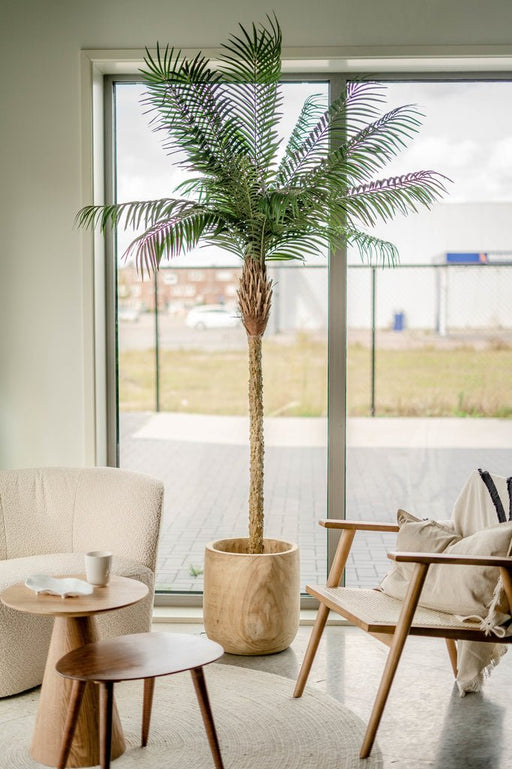 Luksus Phoenix Palm - Kunstigt Træ