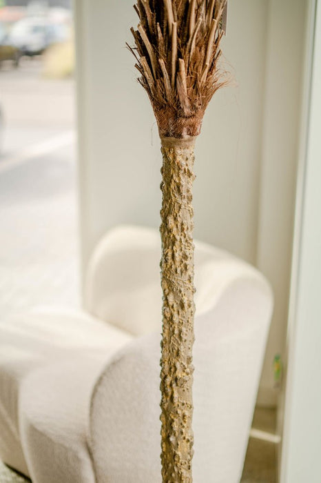 Luksus Phoenix Palm - Kunstigt Træ