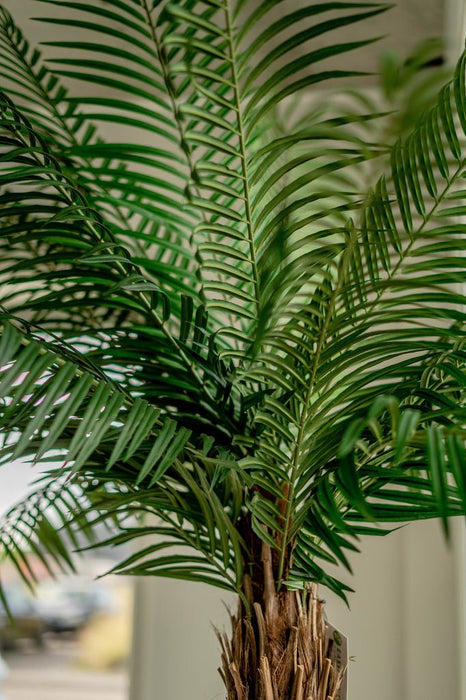 Luksus Phoenix Palm - Kunstigt Træ