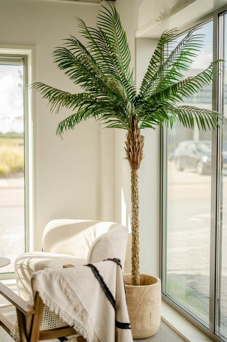 Luksus Phoenix Palm - Kunstigt Træ