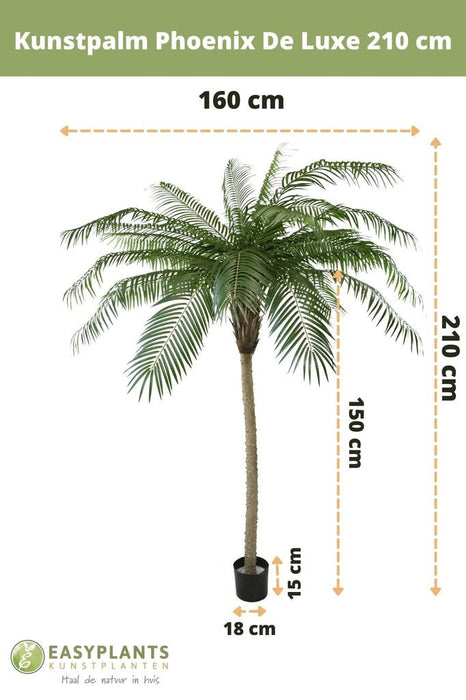 Luksus Phoenix Palm - Kunstigt Træ