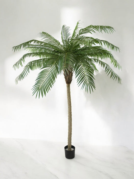 Luksus Phoenix Palm - Kunstigt Træ