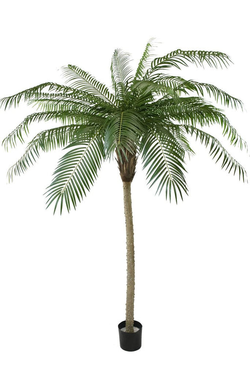 Luksus Phoenix Palm - Kunstigt Træ