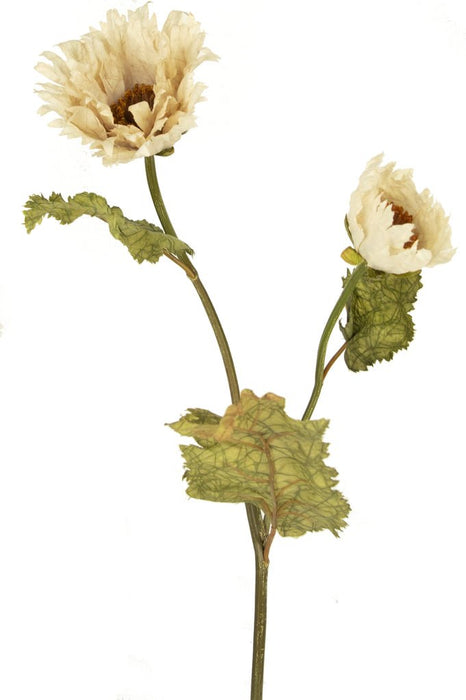 Poppy Queen I Creme Silke