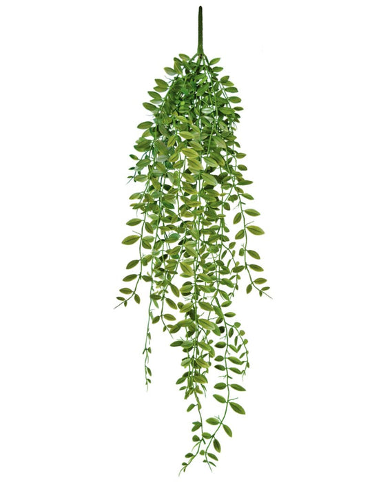 Peperomia - Kunstigt Løv Til At Hænge