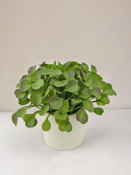 Peperomia - Kunstig Grøn Plante