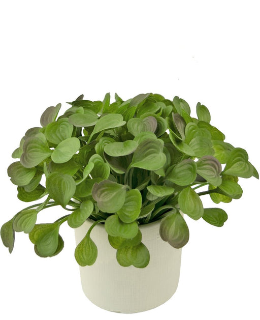 Peperomia - Kunstig Grøn Plante