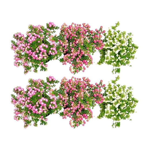 Pernettya Mucronata - Sæt Med 6 Stk