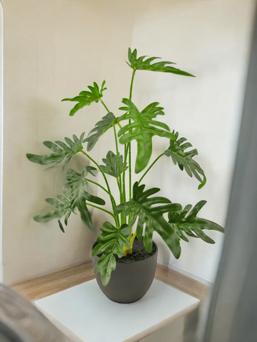 Philodendron Xanadu - Kunstig Grøn Plante
