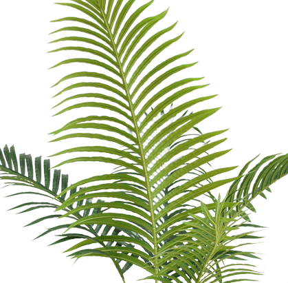 Phoenix - Kunstigt Palmetræ