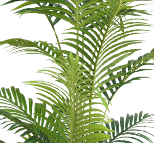 Phoenix - Kunstigt Palmetræ