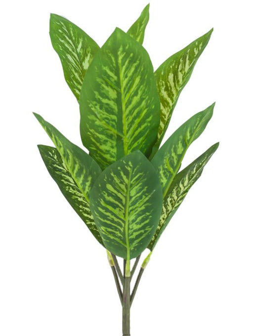 Kunstig Dieffenbachia Stav 34 Cm Indendørs Grøn