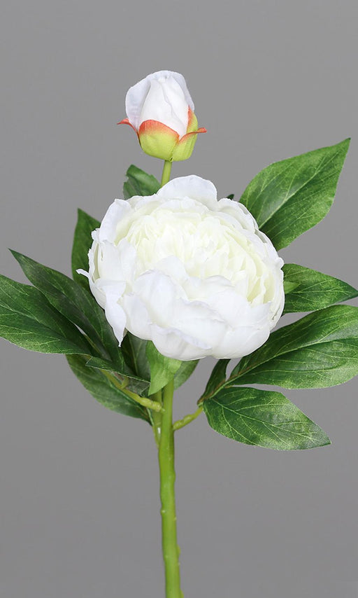 Kunstig Pæon 36 Cm Hvid Blomst Og Knop