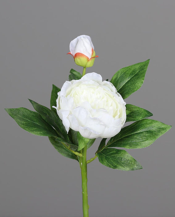 Kunstig Pæon 36 Cm Hvid Blomst Og Knop