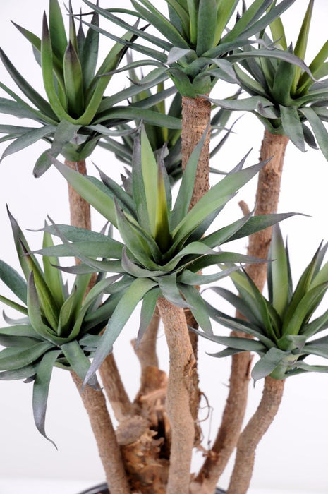 Kunstig Agave Plante 72Cm 7 Stængler Grøn