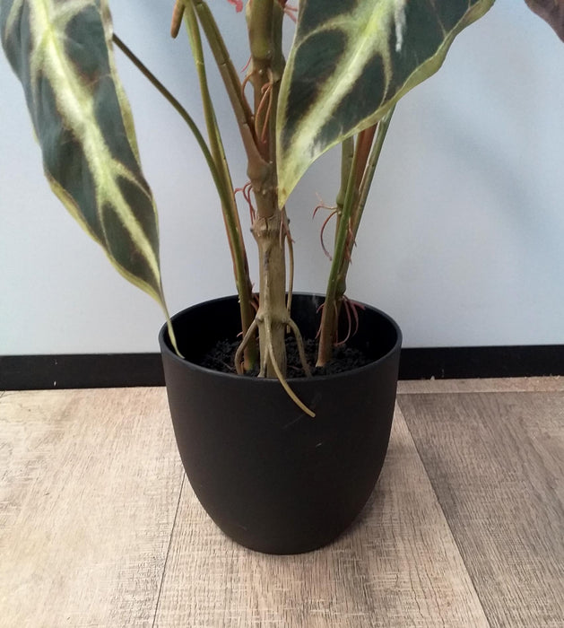 Kunstig Alocasia Plante H.75 Cm I Sort Potte